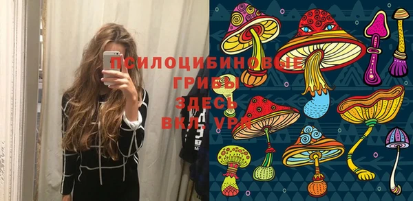 тгк Армянск