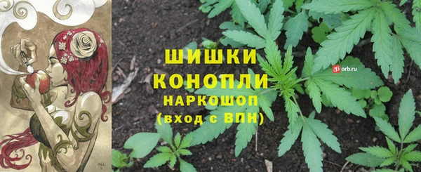 эйфоретик Аркадак