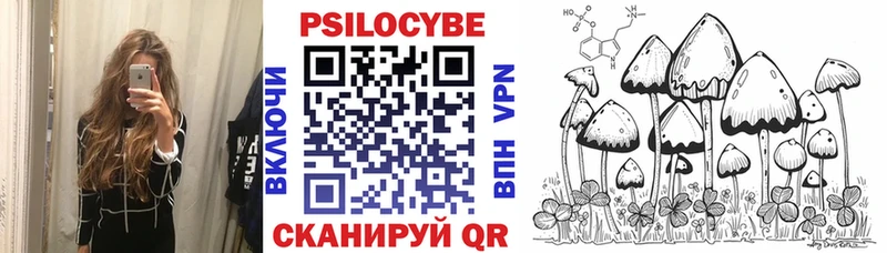 закладка  кракен вход  Псилоцибиновые грибы Psilocybe  Курск 